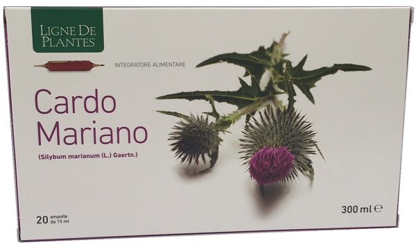 CARDO MARIANO 20 AMPOLLE BEVIBILI DA 15 ML - Farmacia Mortise