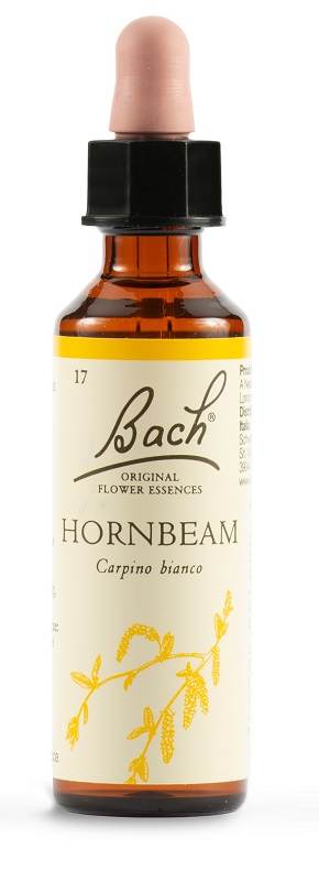 HORNBEAM BACH ORIG 20 ML - Farmacia Mortise