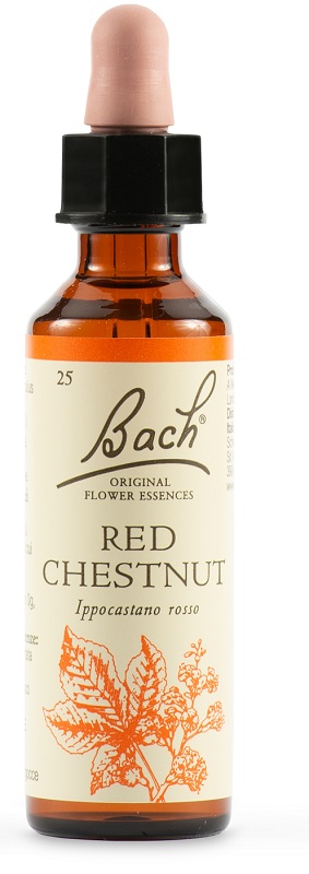 RED CHESTNUT BACH ORIG 20 ML - Farmacia Mortise
