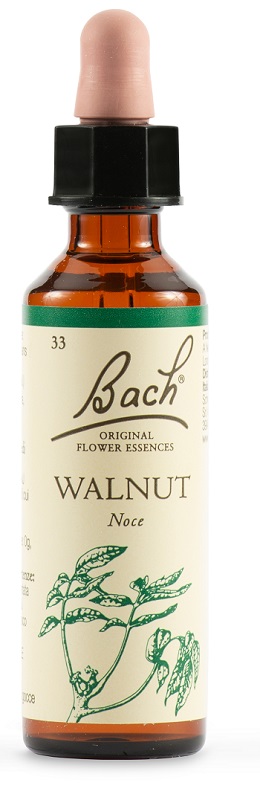 WALNUT BACH ORIG 20 ML - Farmacia Mortise