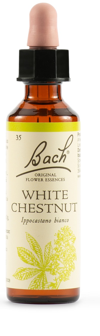 WHITE CHEST BACH ORIG 20 ML - Farmacia Mortise