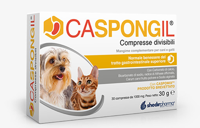 CASPONGIL 30 COMPRESSE DIVISIBILI - Farmacia Mortise