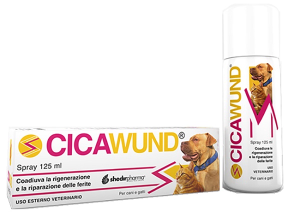 CICAWUND SPRAY 125 ML - Farmacia Mortise
