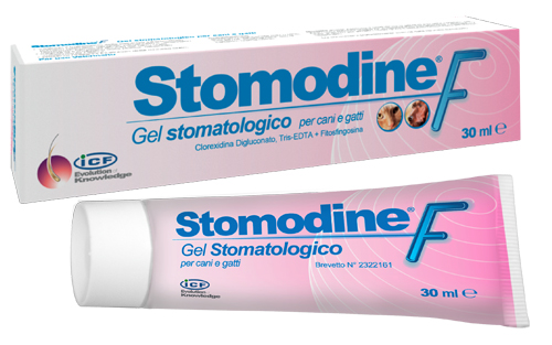 STOMODINE F 30 ML - Farmacia Mortise