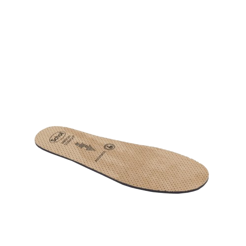 CLOG EVO MEM CUS UNI TAU 35-36 - Farmacia Mortise