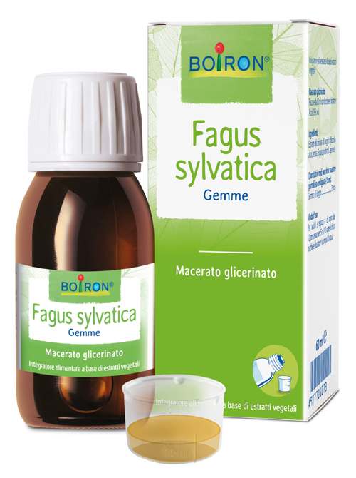FAGUS SYLVATICA BOIRON MACERATO GLICERICO 60 ML - Farmacia Mortise