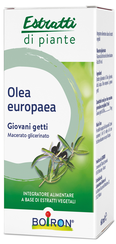 OLEA EUROPAEA BOIRON MACERATO GLICERICO 60 ML - Farmacia Mortise