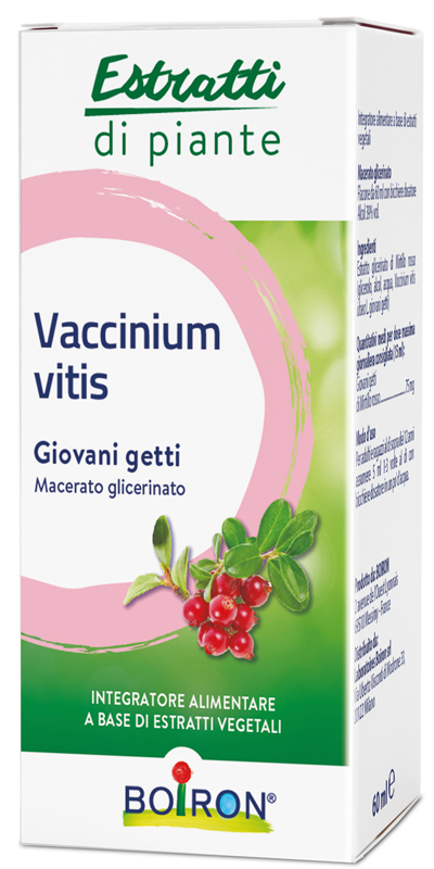 VACCINIUM VITIS MACERATO GLICERICO 60 ML - Farmacia Mortise