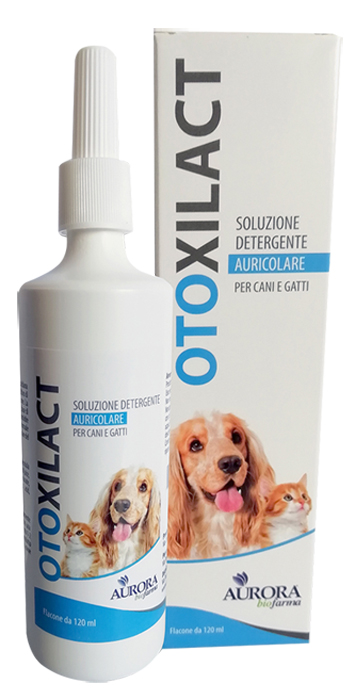 OTOXILACT DETERGENTE AURICOLARE - Farmacia Mortise