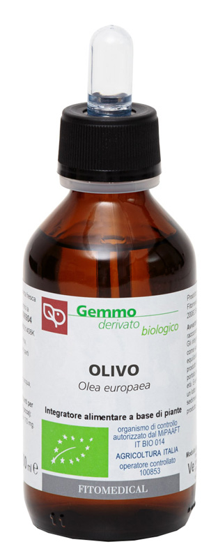 OLIVO MACERATO GLICERICO 100 ML BIO - Farmacia Mortise