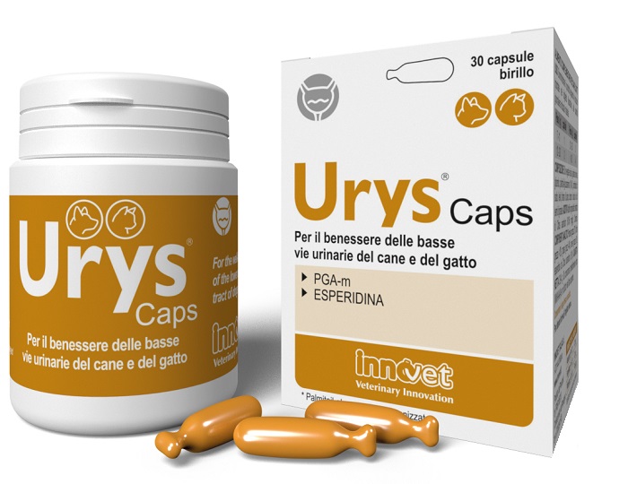 URYS CAPS 30 CAPSULE - Farmacia Mortise