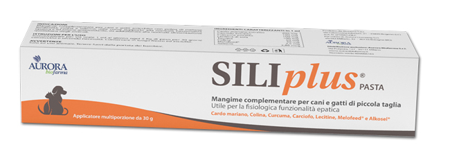 SILIPLUS PASTA 30 G - Farmacia Mortise