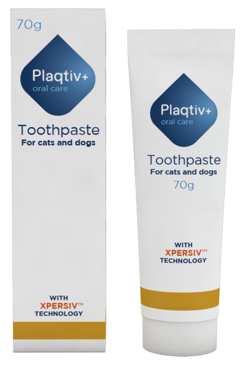 PLAQTIV+ ORAL CARE DENTIFRICIO IN PASTA 70 G - Farmacia Mortise