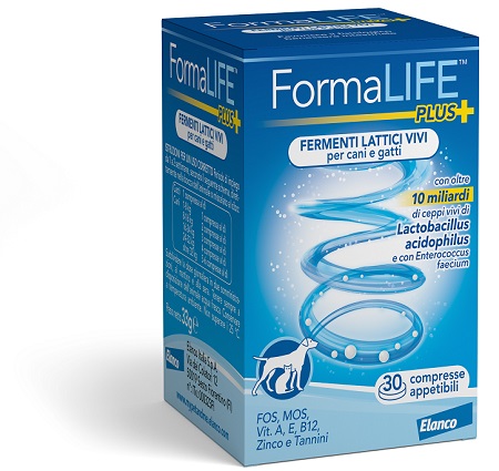 FORMALIFE PLUS FERMENTI LATTICI VIVI 30 COMPRESSE APPETIBILI - Farmacia Mortise